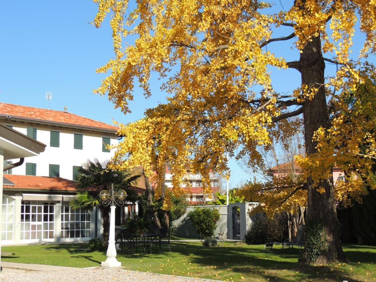 Ginkgo Guest House Ronchis Exteriér fotografie