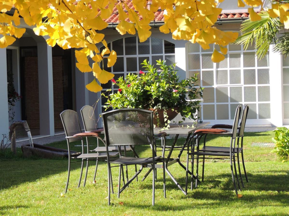 Ginkgo Guest House Ronchis Exteriér fotografie